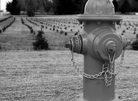 网站ddos隐藏源ip